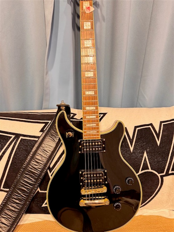 Epiphone Limited Edition Tak Matsumoto DC Custom / Rosewood Fingerboard (2009)の画像